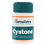 Cystone
