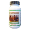 Diet Maxx