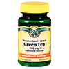 Green Tea Extract